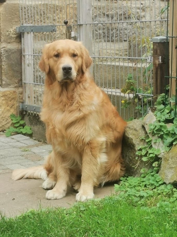 Scorch Trials at DW "Luca"