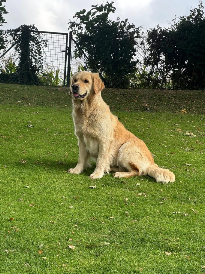 wundervolle Marla vom Landwehrbach