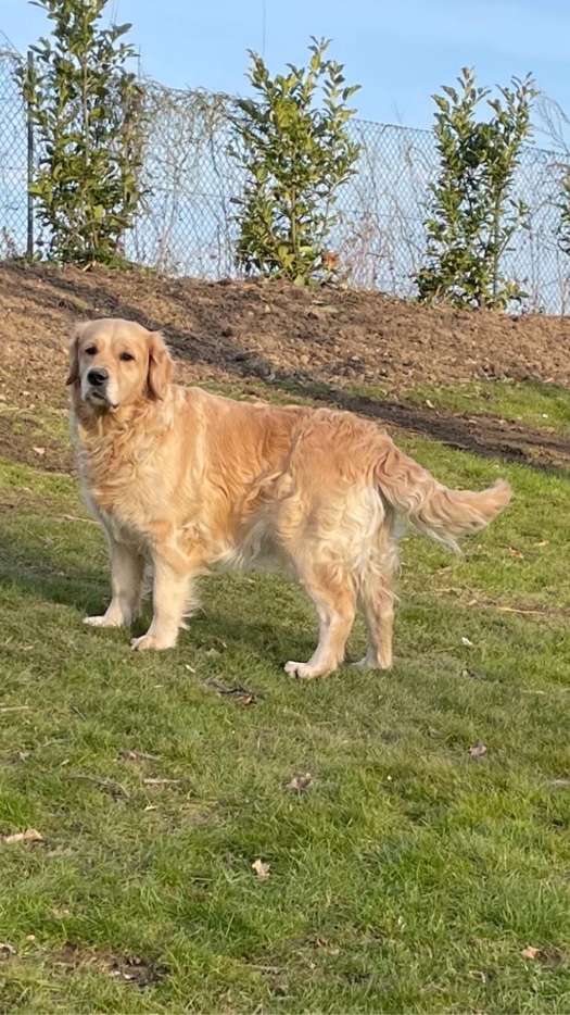 Vallens Lilli vom Landwehrbach