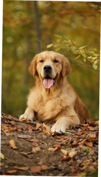 Scorch Trials at DW "Luca"